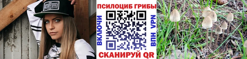 цена   ОМГ ОМГ вход  Псилоцибиновые грибы Cubensis  Боготол 